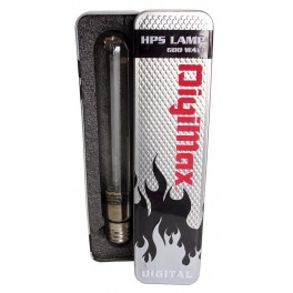 DigiMax Digital 600W