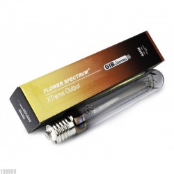 GIB Lighting Flower...