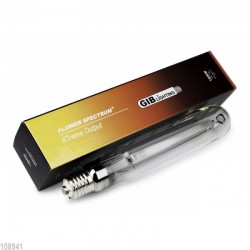 GIB Lighting Flower...