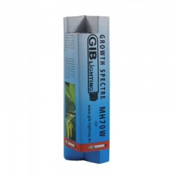 GIB Lighting Growth...