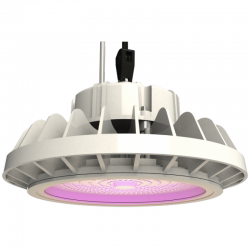 HPLED Secret Jardin 200W