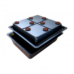 Amazon 8, aeroponický...