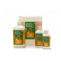 AH Final Solution Advanced...