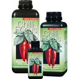 Chilli Focus 100ml