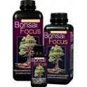 Bonsai Focus 100ml