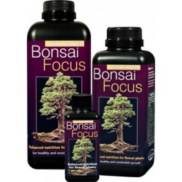 Bonsai Focus 100ml