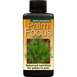 Palm Focus 100ml