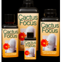 Cactus Focus 100ml
